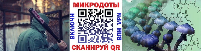 Галлюциногенные грибы Magic Shrooms  Брюховецкая 